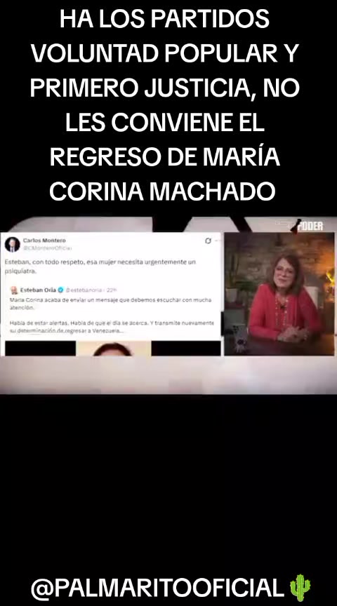 @PALMARITOOFICIAL 🌵