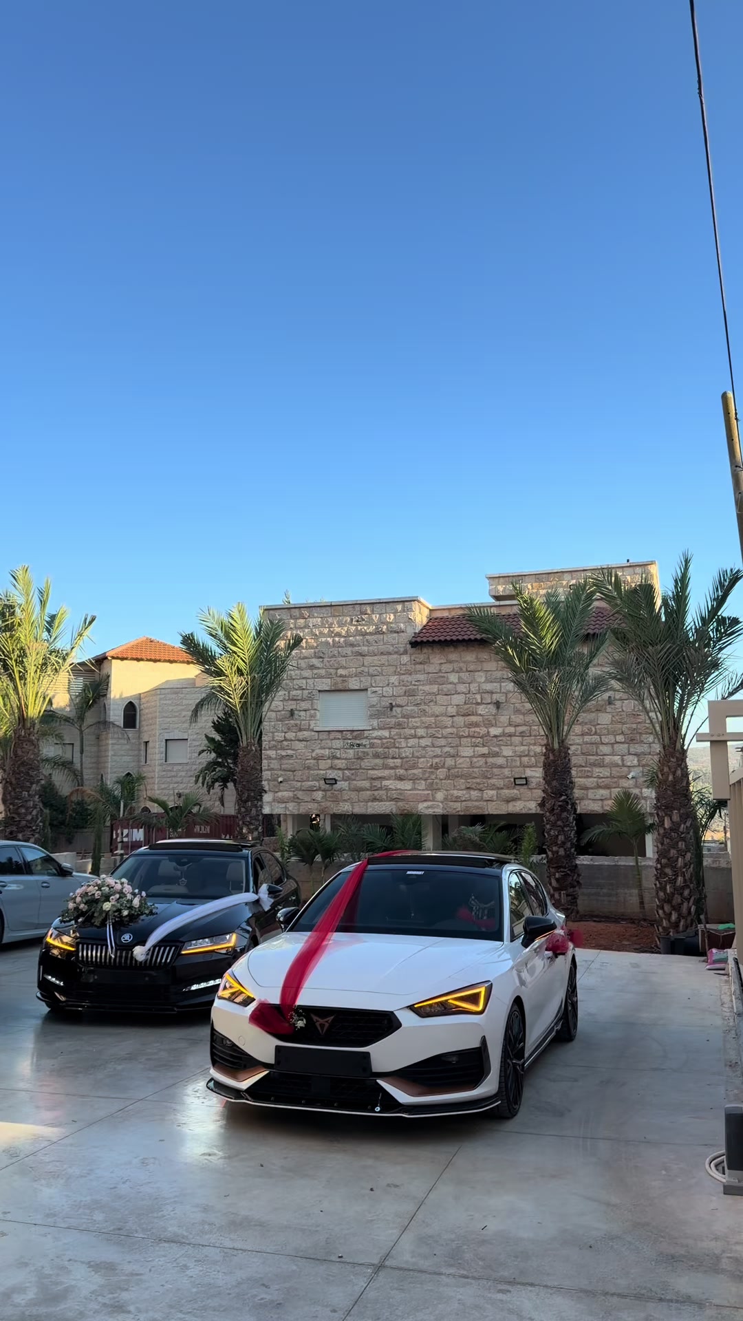 @Dr.ali kheralla
