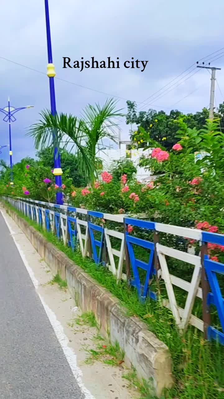 @Bithi Rani