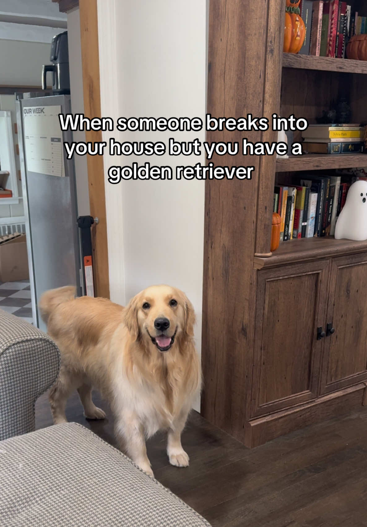 @Clover and Lily 🐾