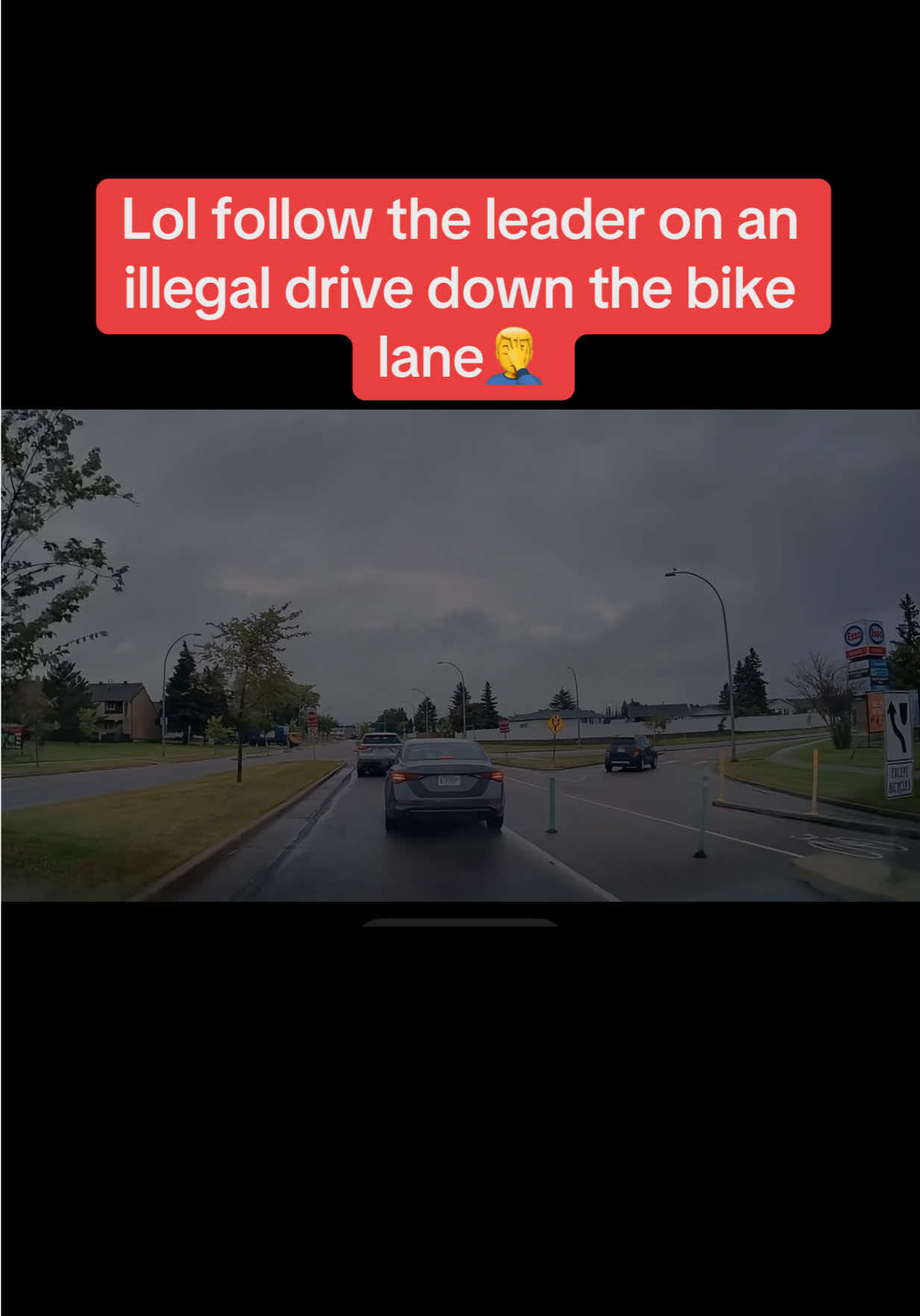 @Bad Driver Edmonton