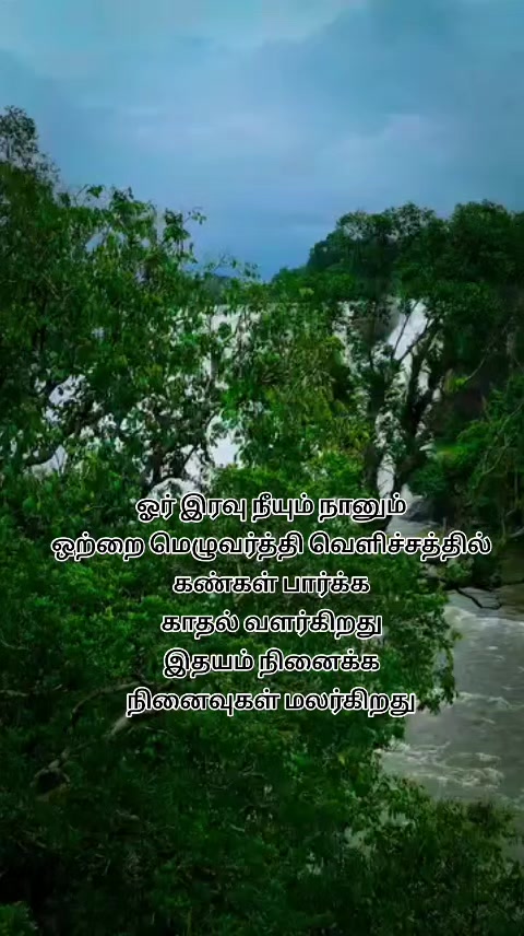 @🌔நிலவின் நிழல்🌖
