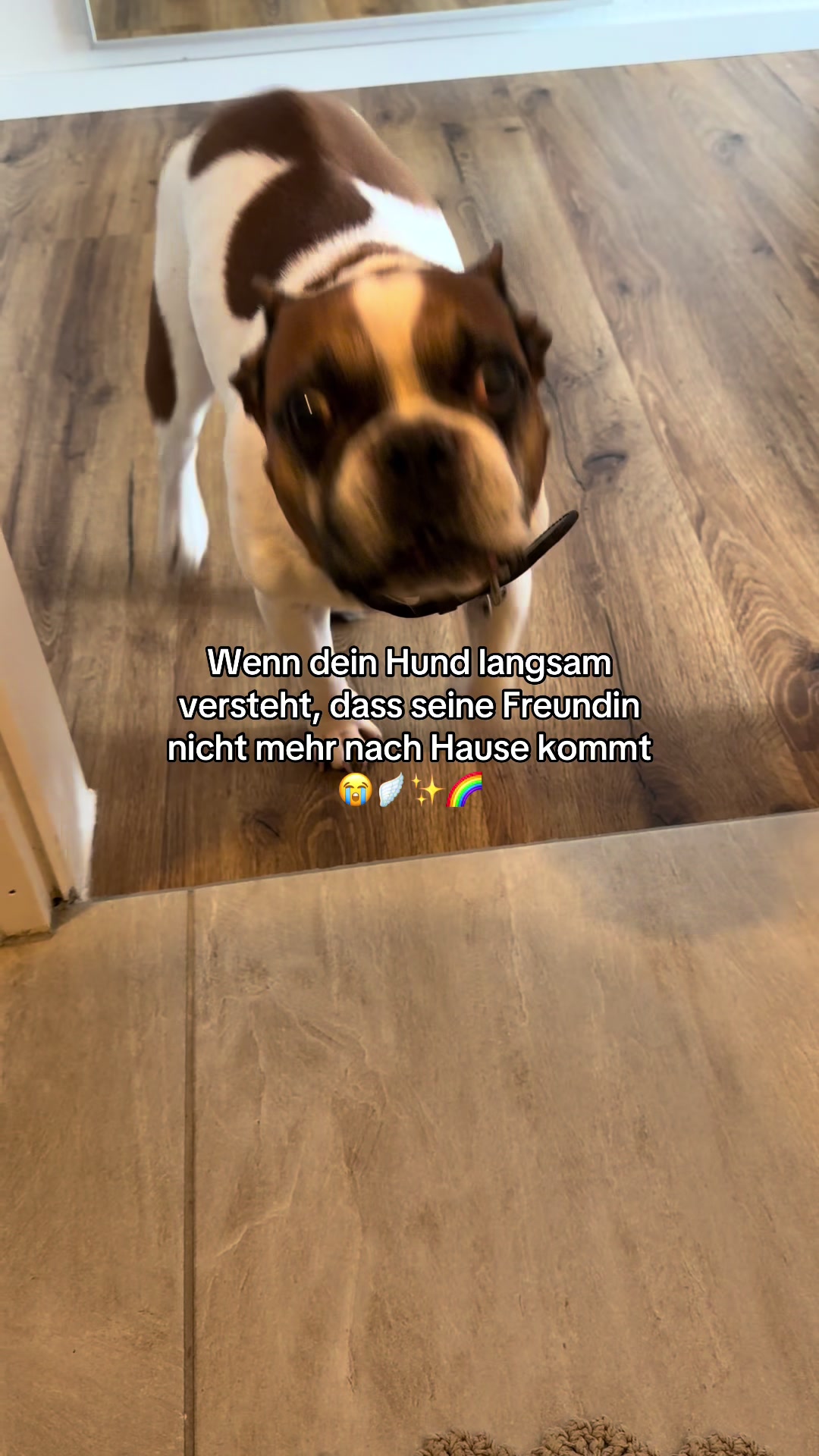 @DONIJAHILLIGES🧚🏻♀️