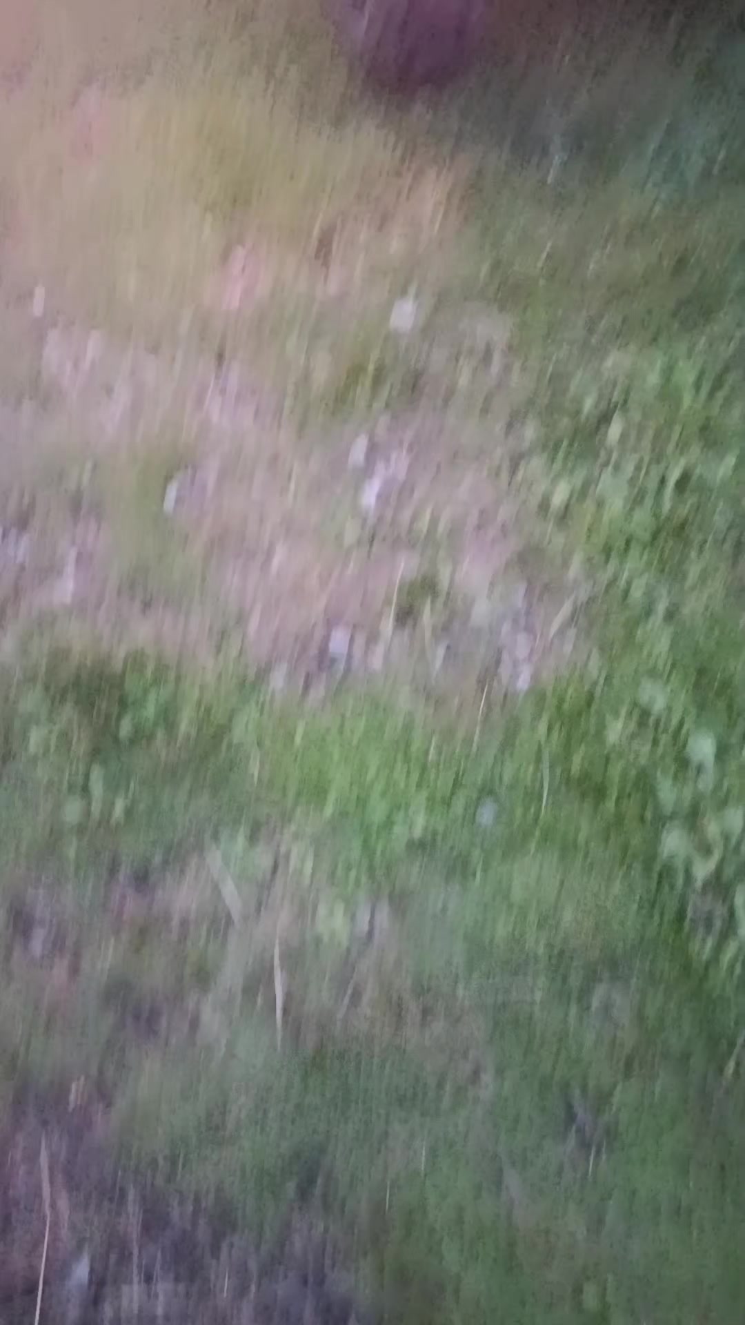 @Шестое чувство