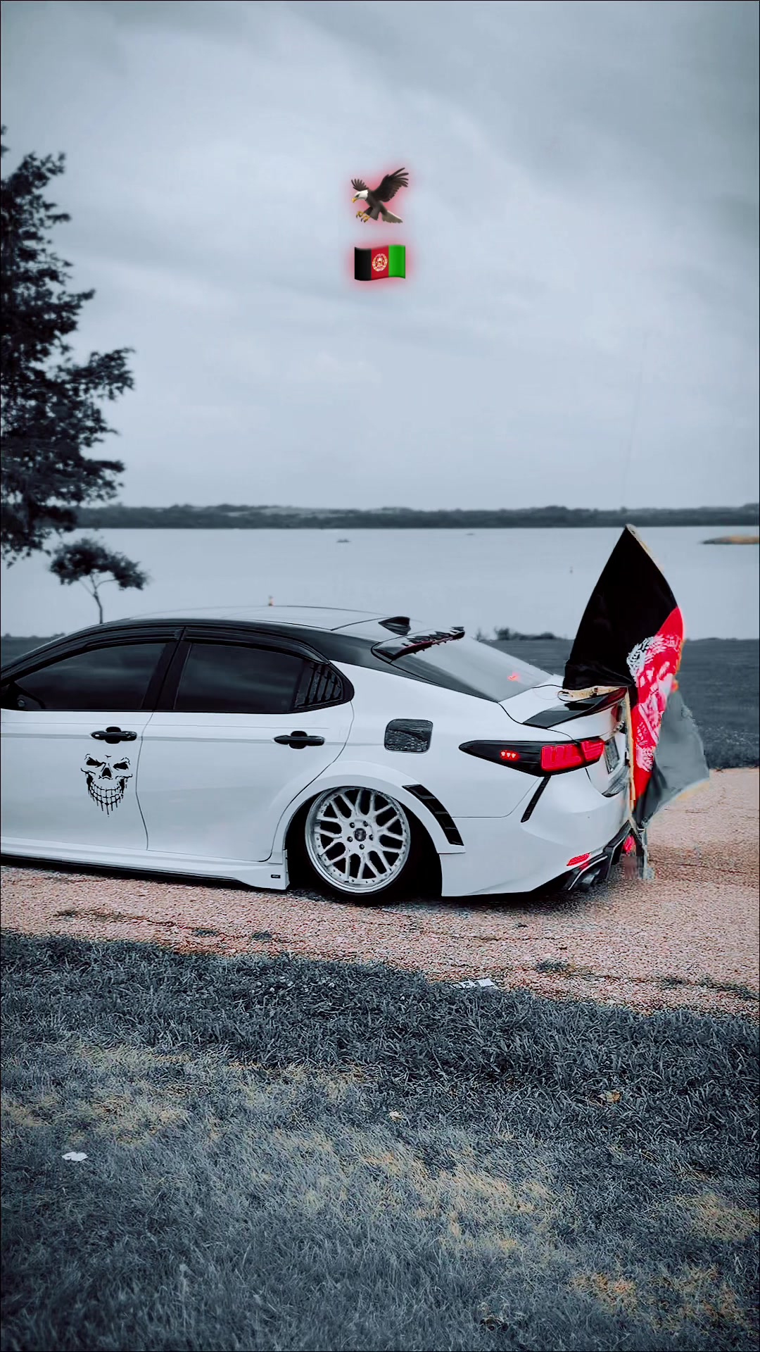@▄︻デ احساس══━一