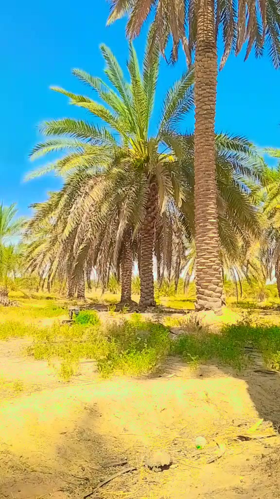 @ARSHAD KACHELLA