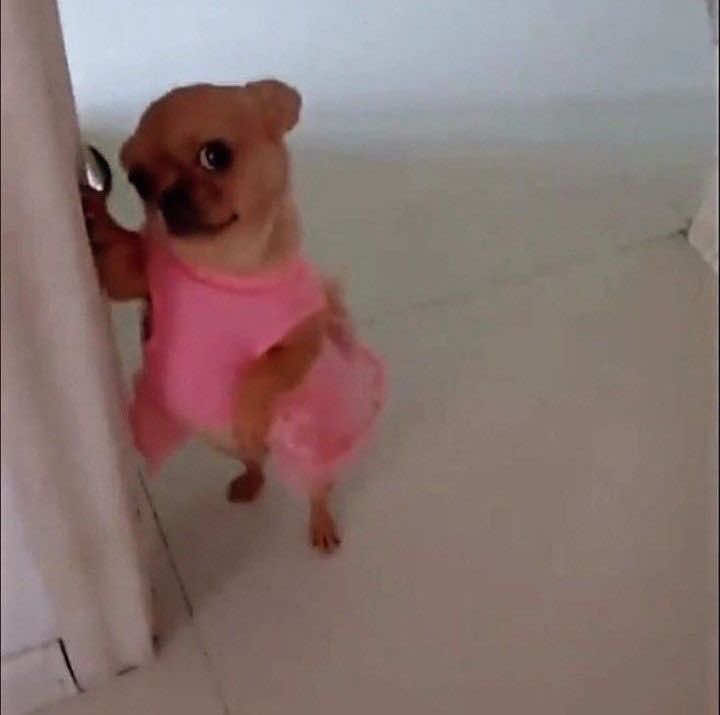 @Lifewithsamyy