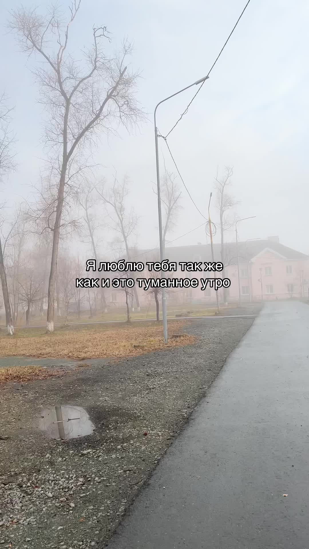 @illusion_dem