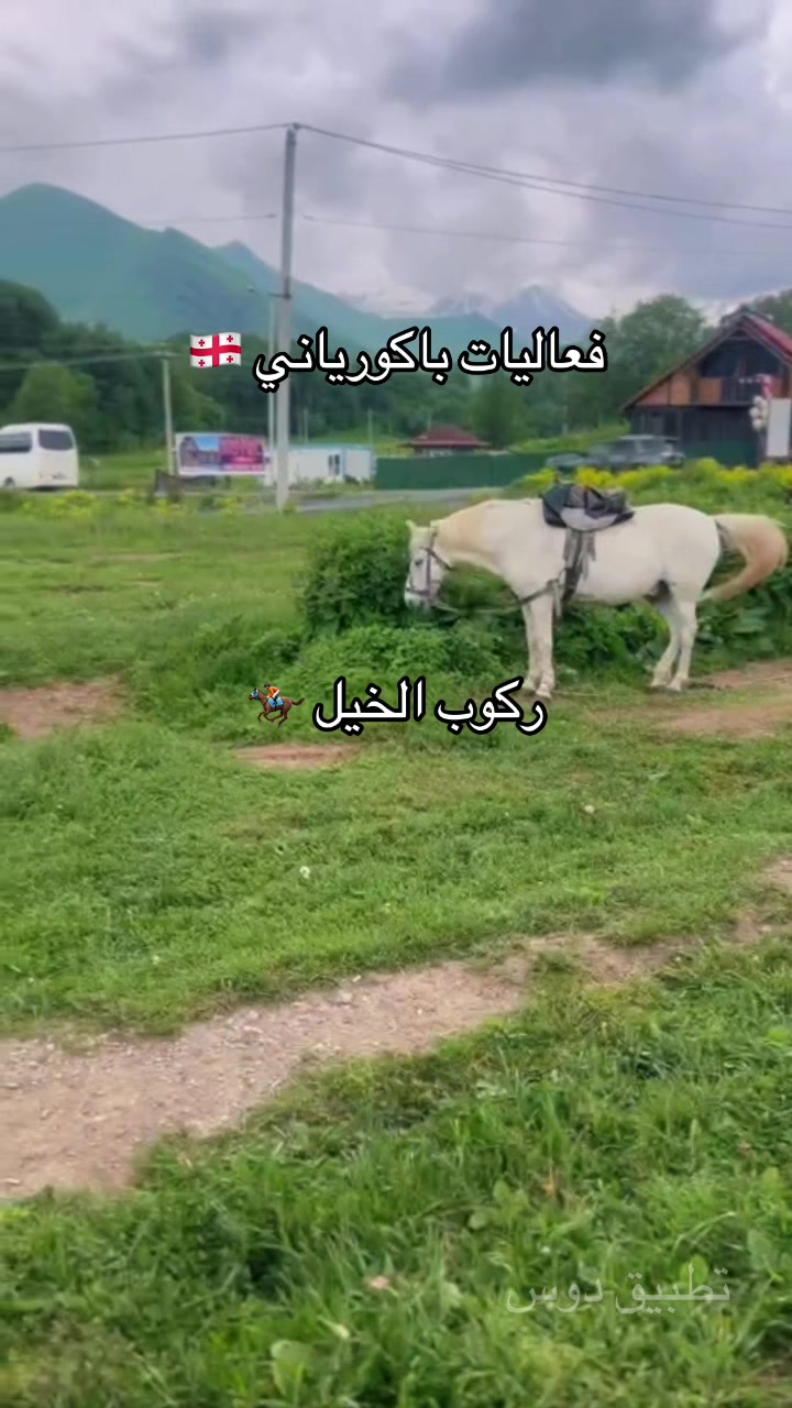 @Dos دوس