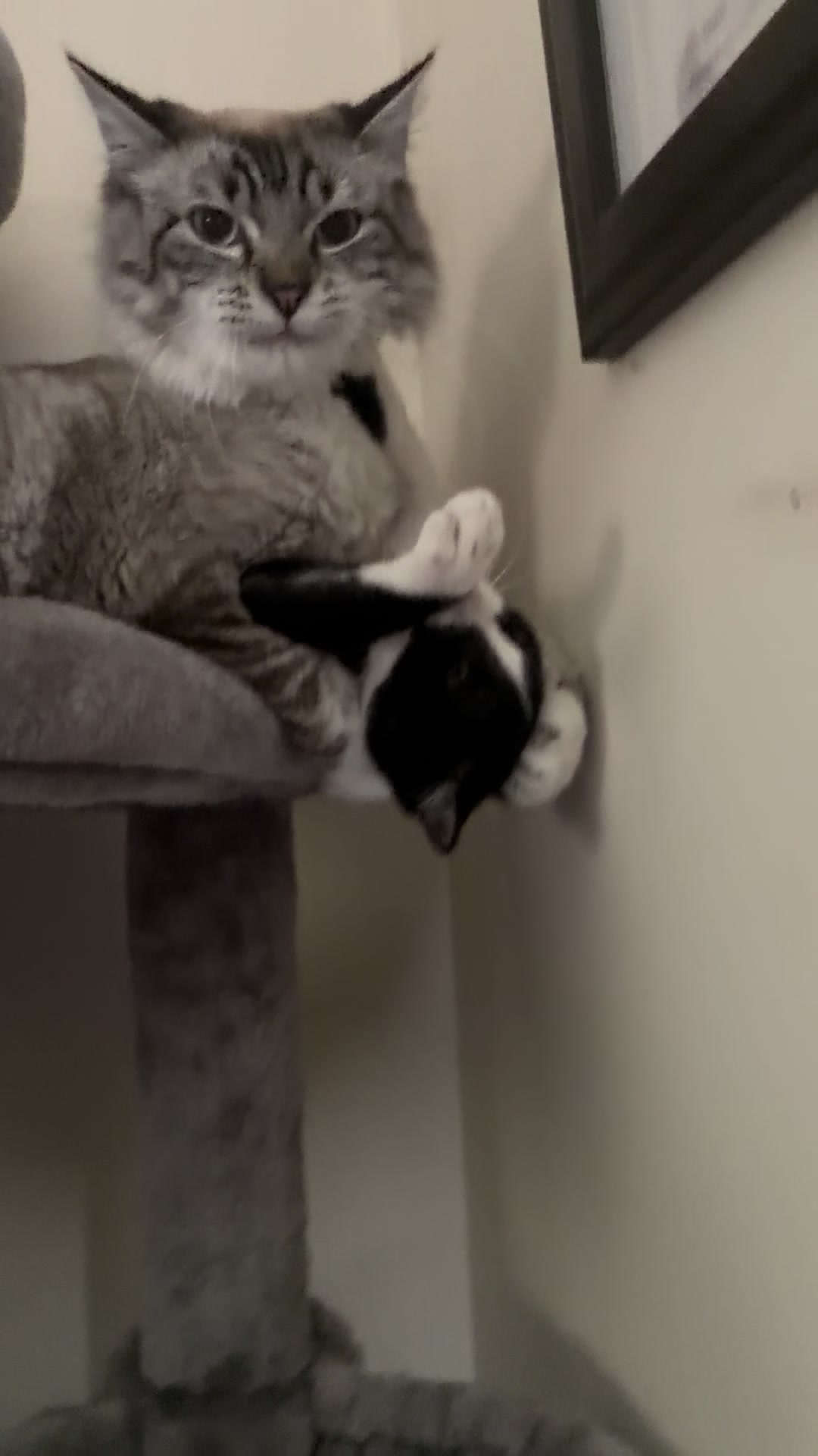@T