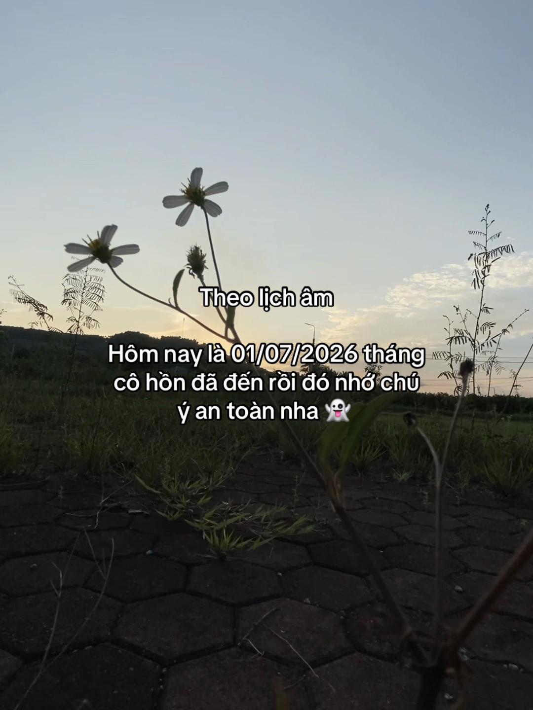@𝐍𝐠𝐮𝐲𝐞̂̃𝐧 𝐇𝐮̀𝐧𝐠🧸
