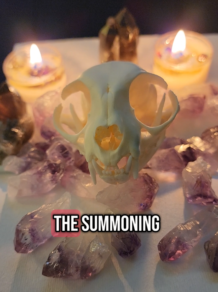 @TheCrimsonCult