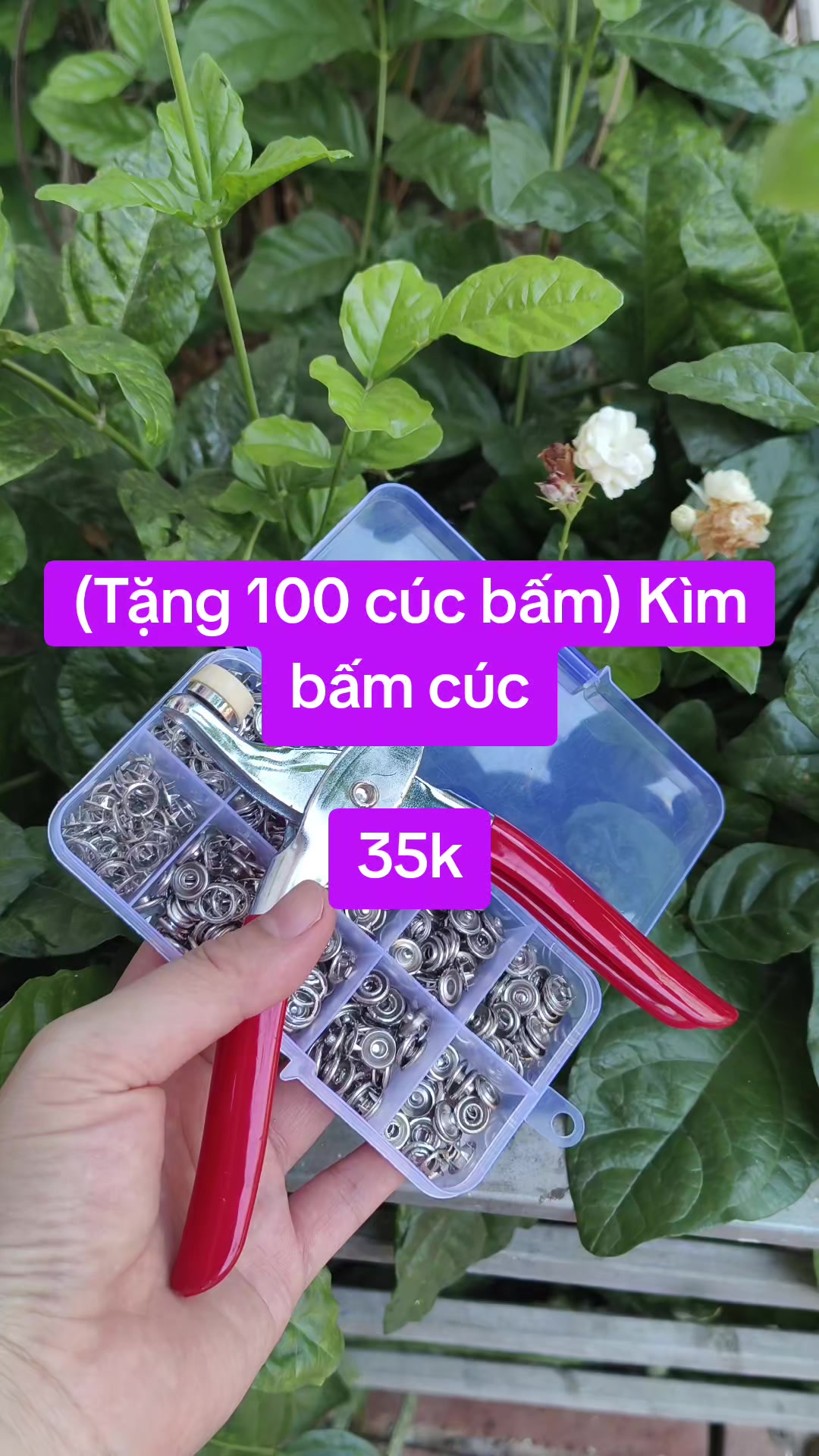 @thegiocuaban