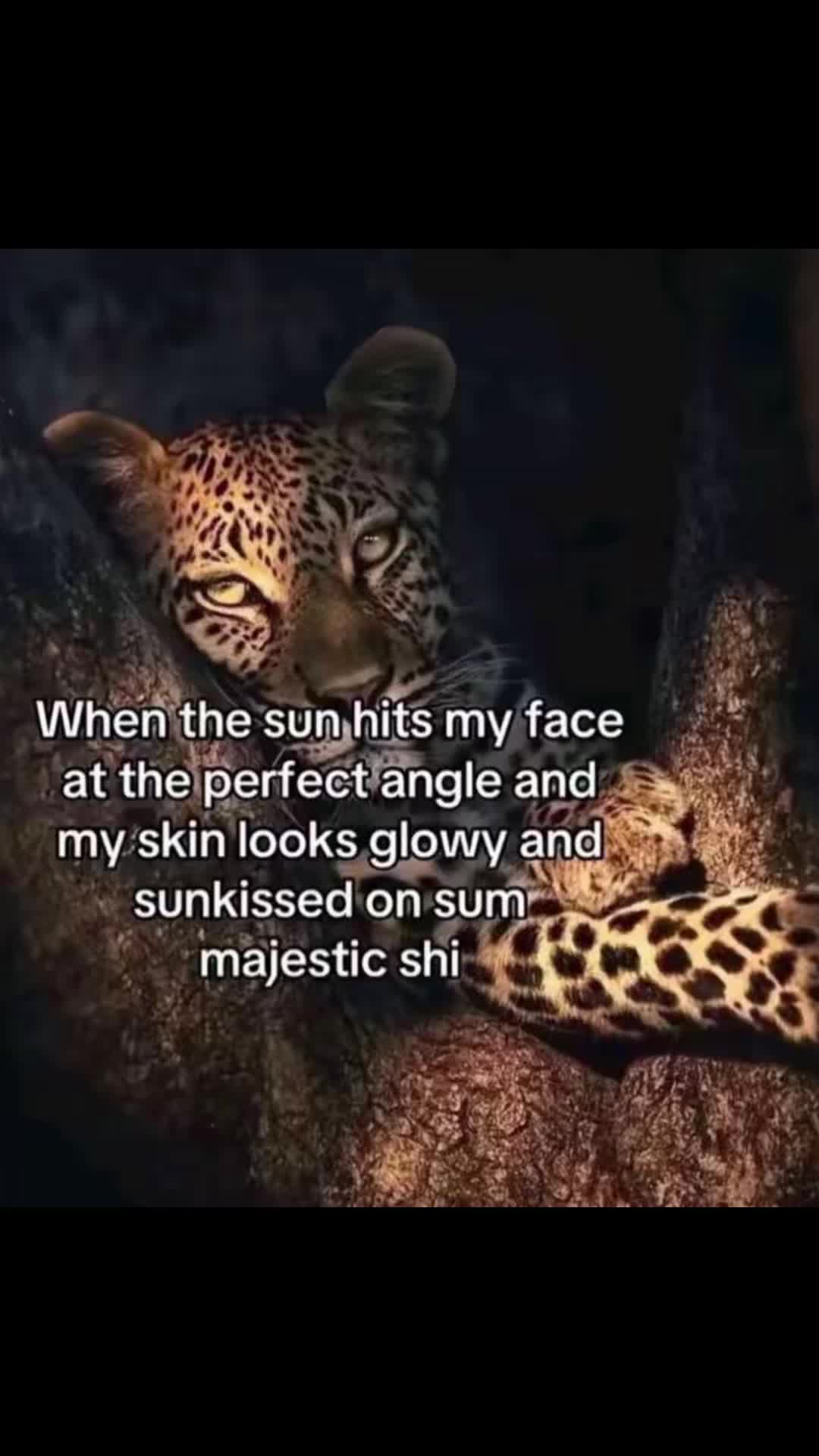 @🫧prettyfacemani🫧