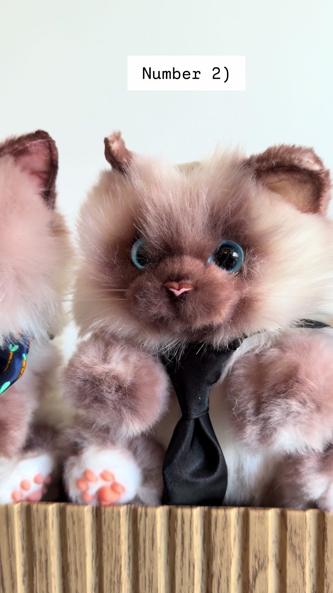 @Henk&Ollie 😺
