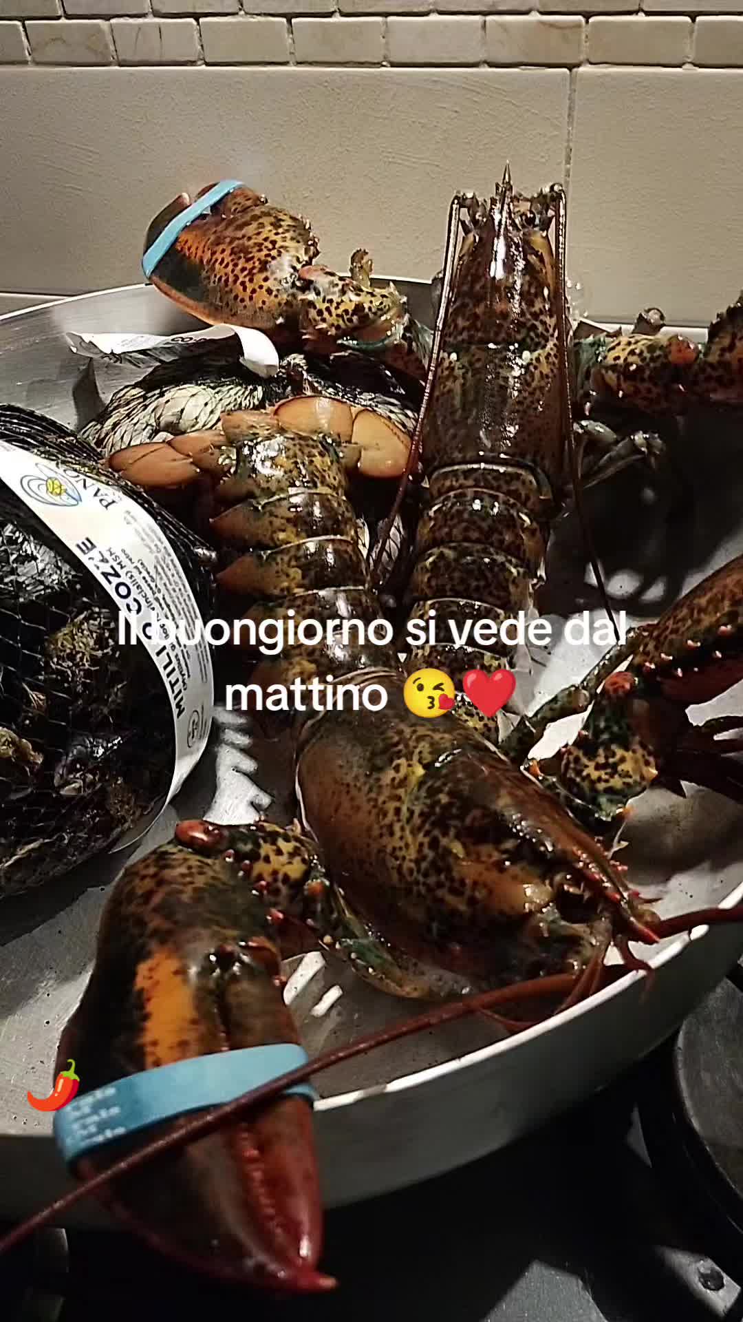 @Amoimieifigli❤️❤️❤️