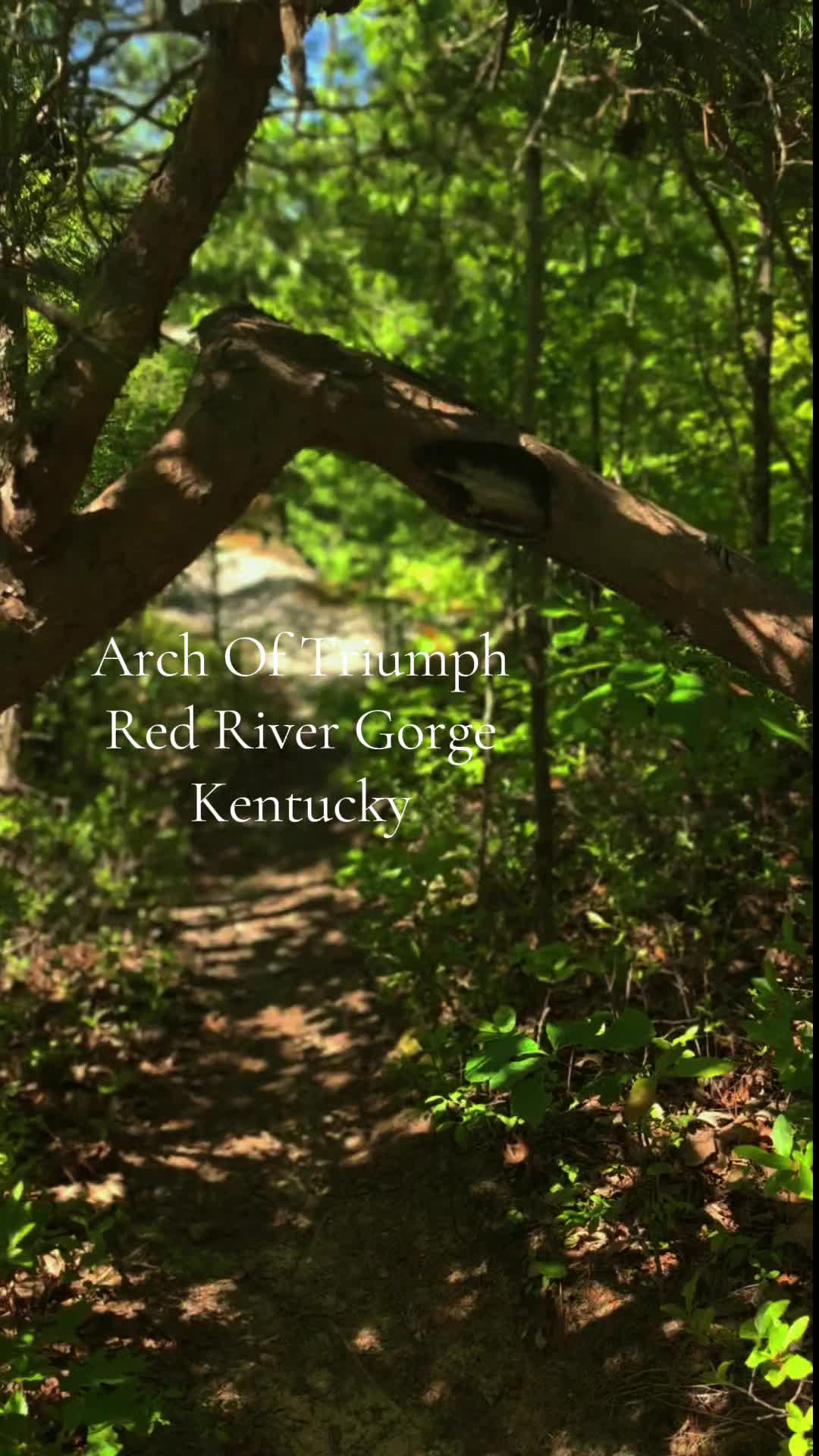 @Kentucky_simpleman1994