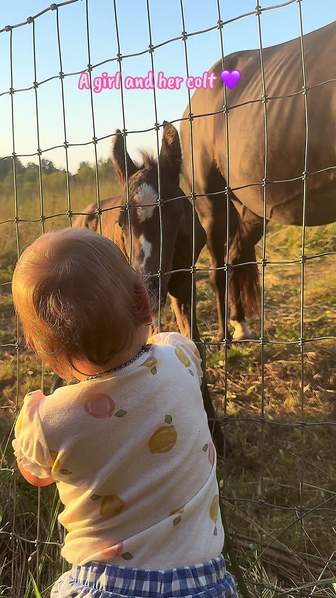 @EightyDollarStables