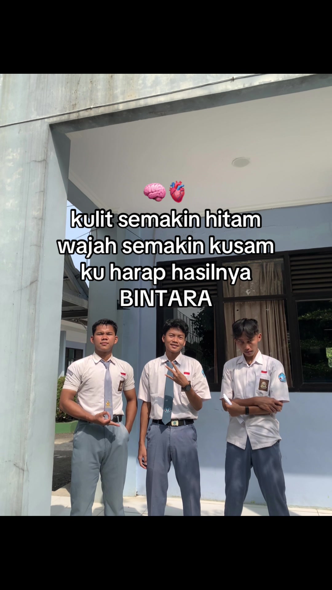 @alfar