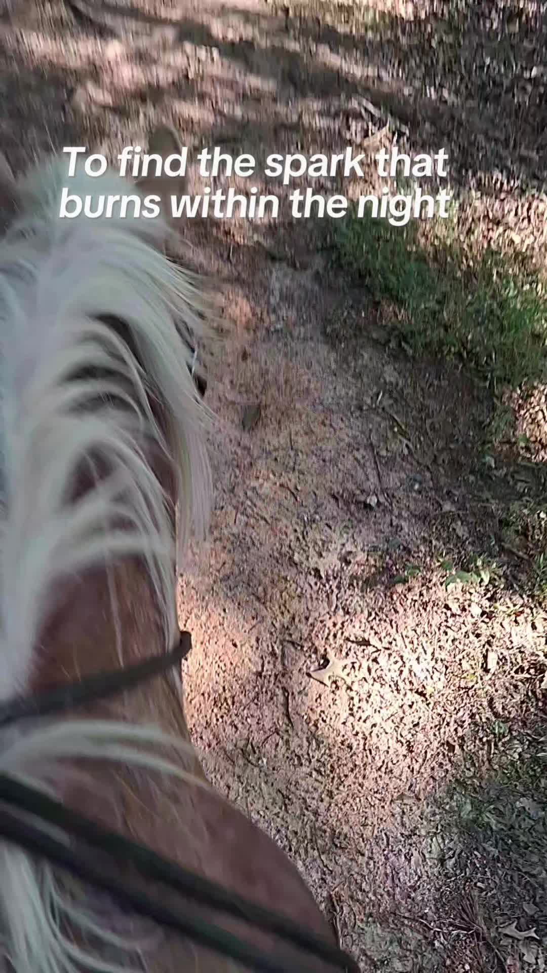 @dorissaddle_soul