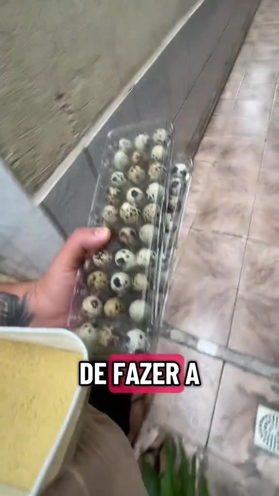 @gordimvideos