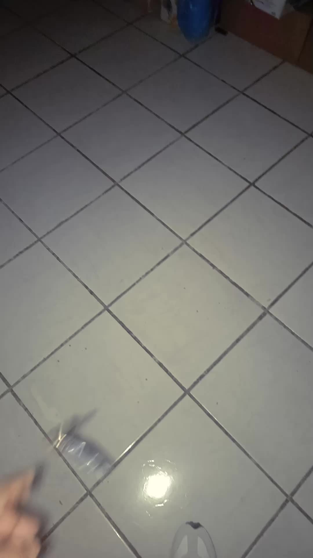 @kevitooo