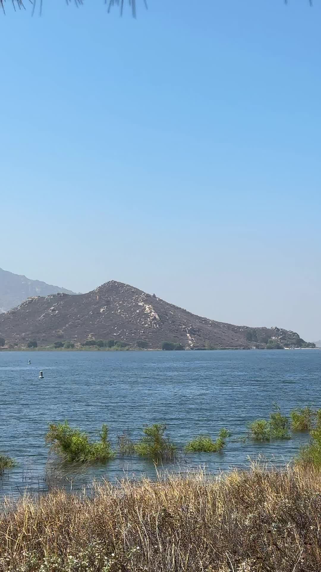 @Margarita R