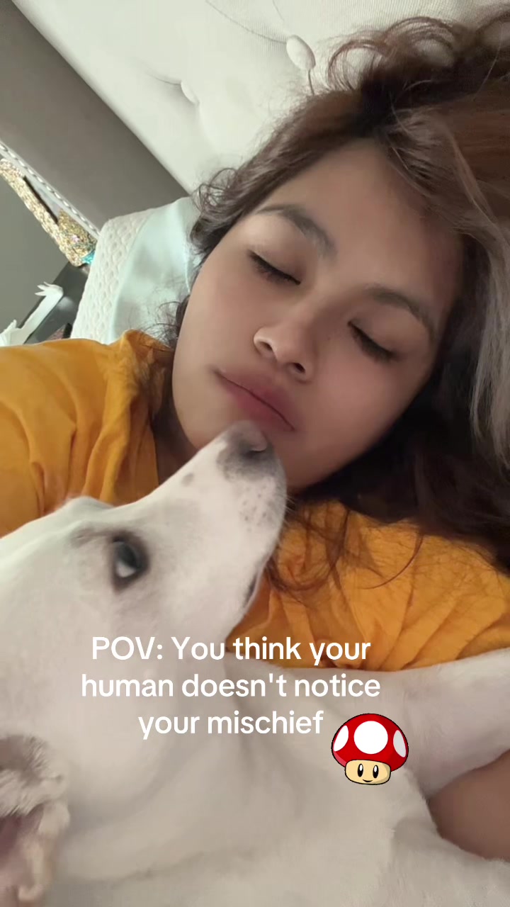 @Rossy Gomez