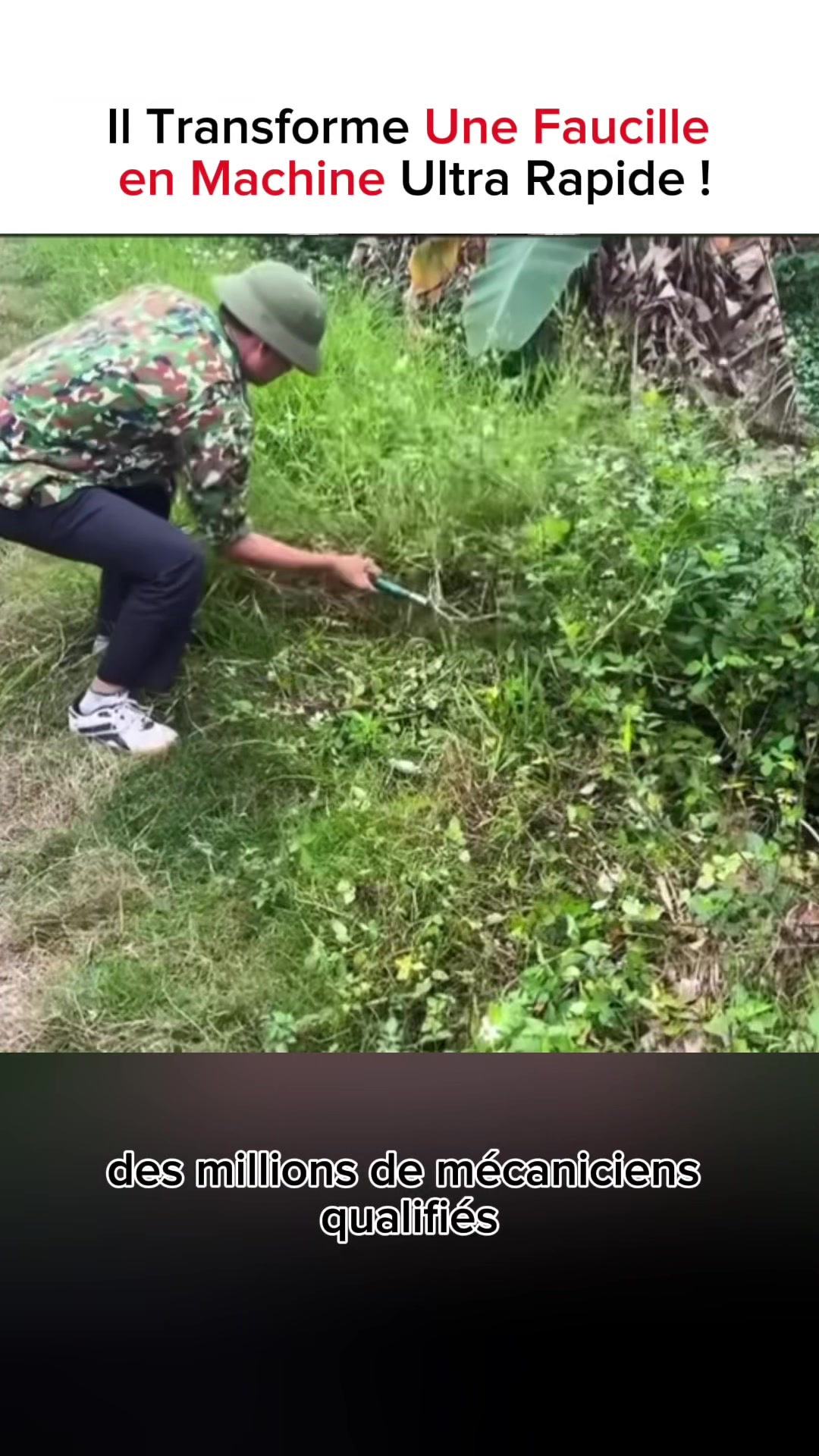 @Learnifymore