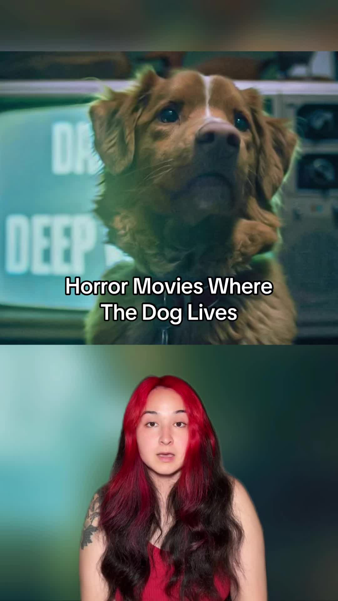 @Allie Tran