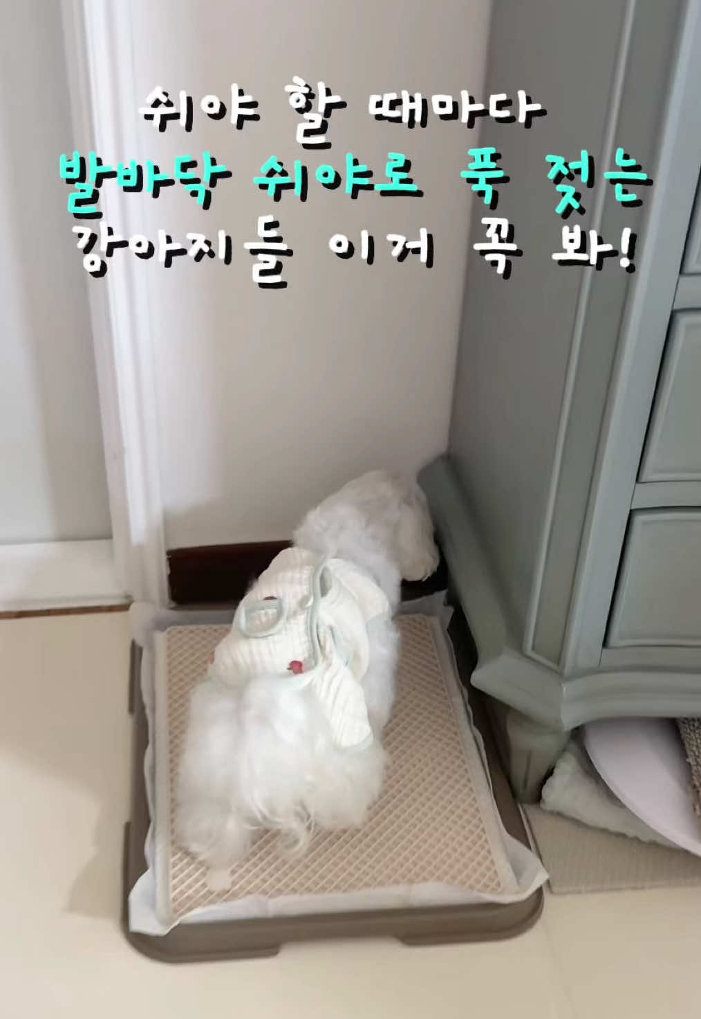 @메리하리