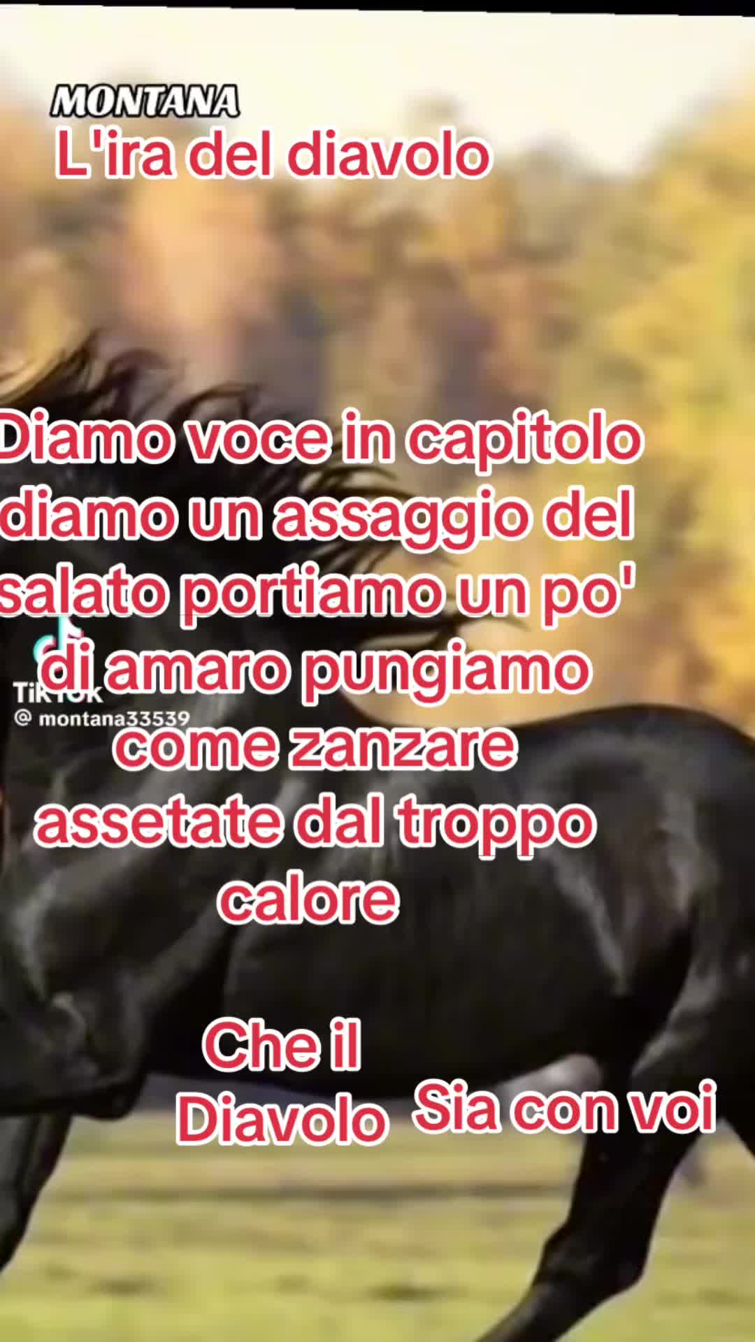 @Biscottino