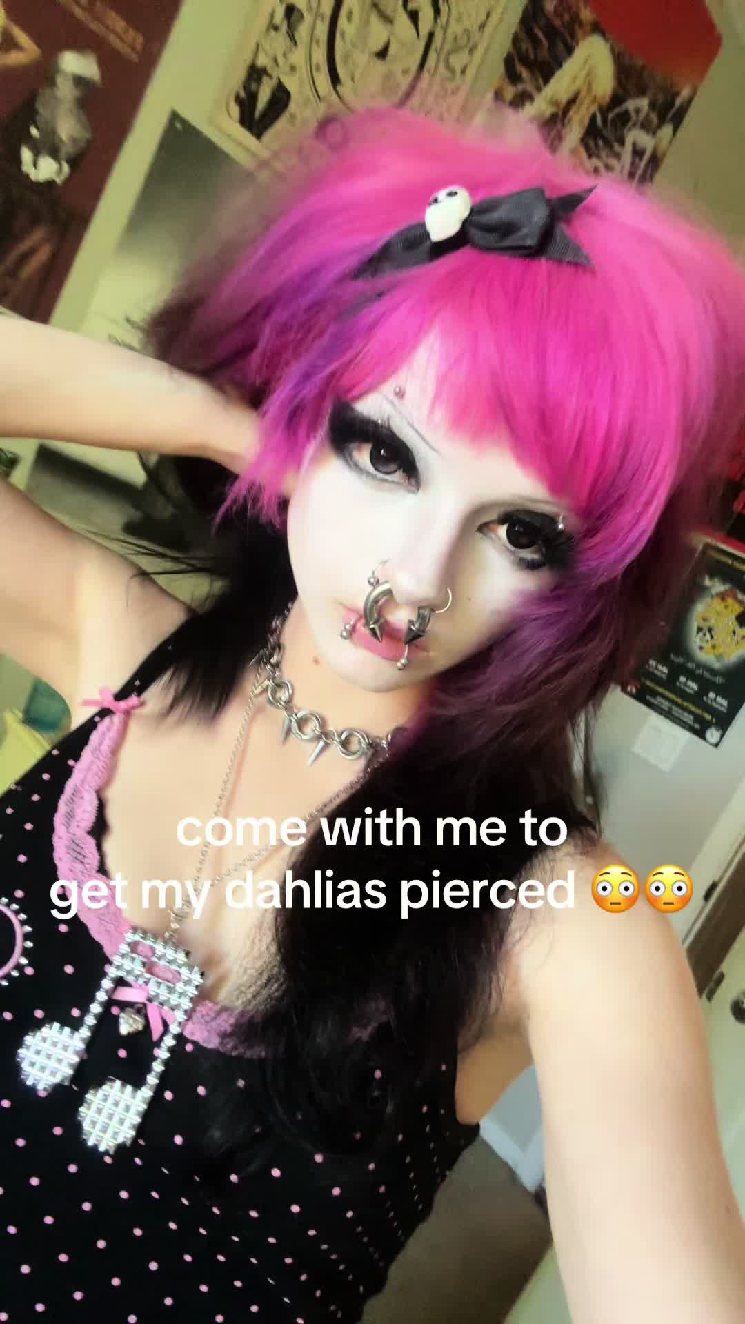 @frankie🎼