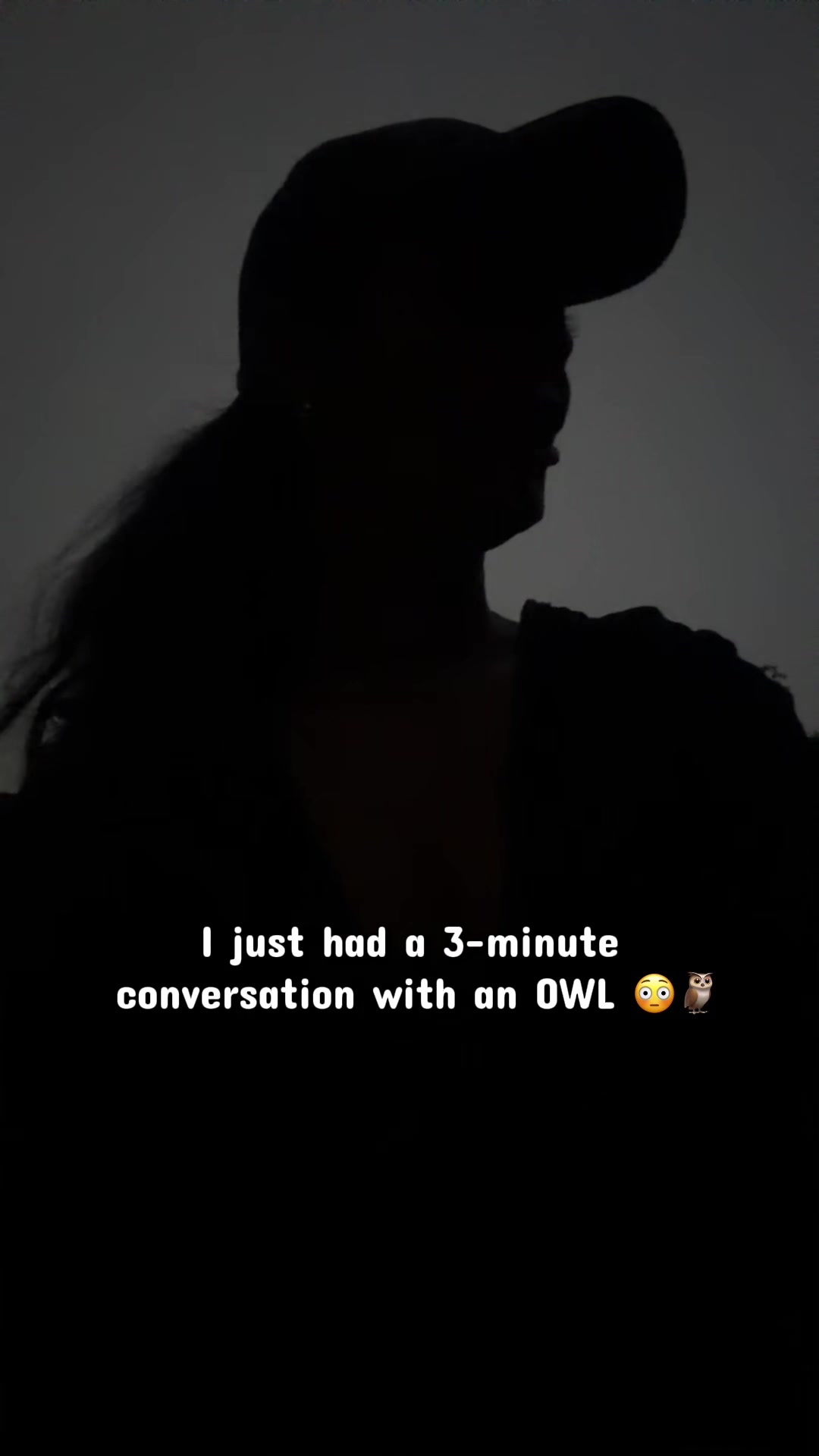 @crystallion1