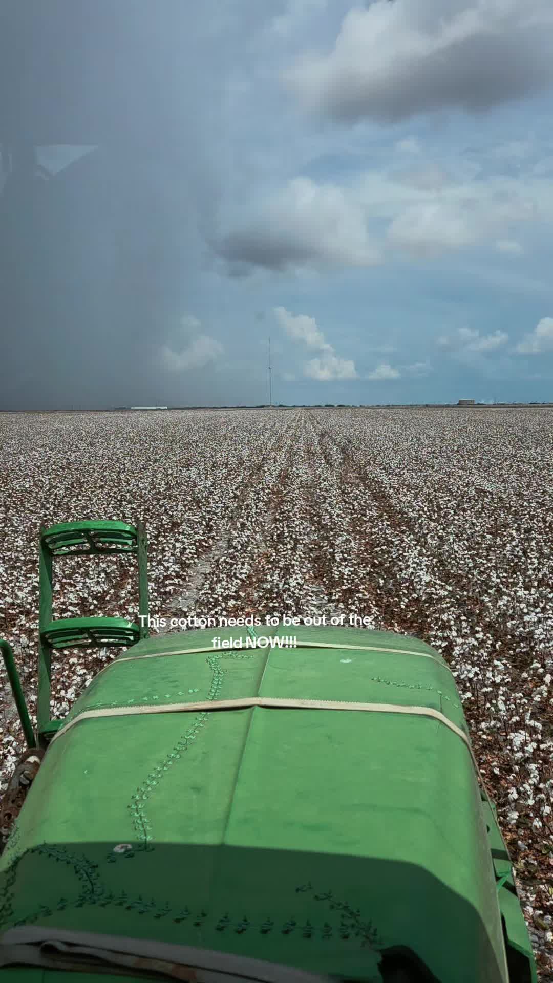 @David CottonFarmer ๐