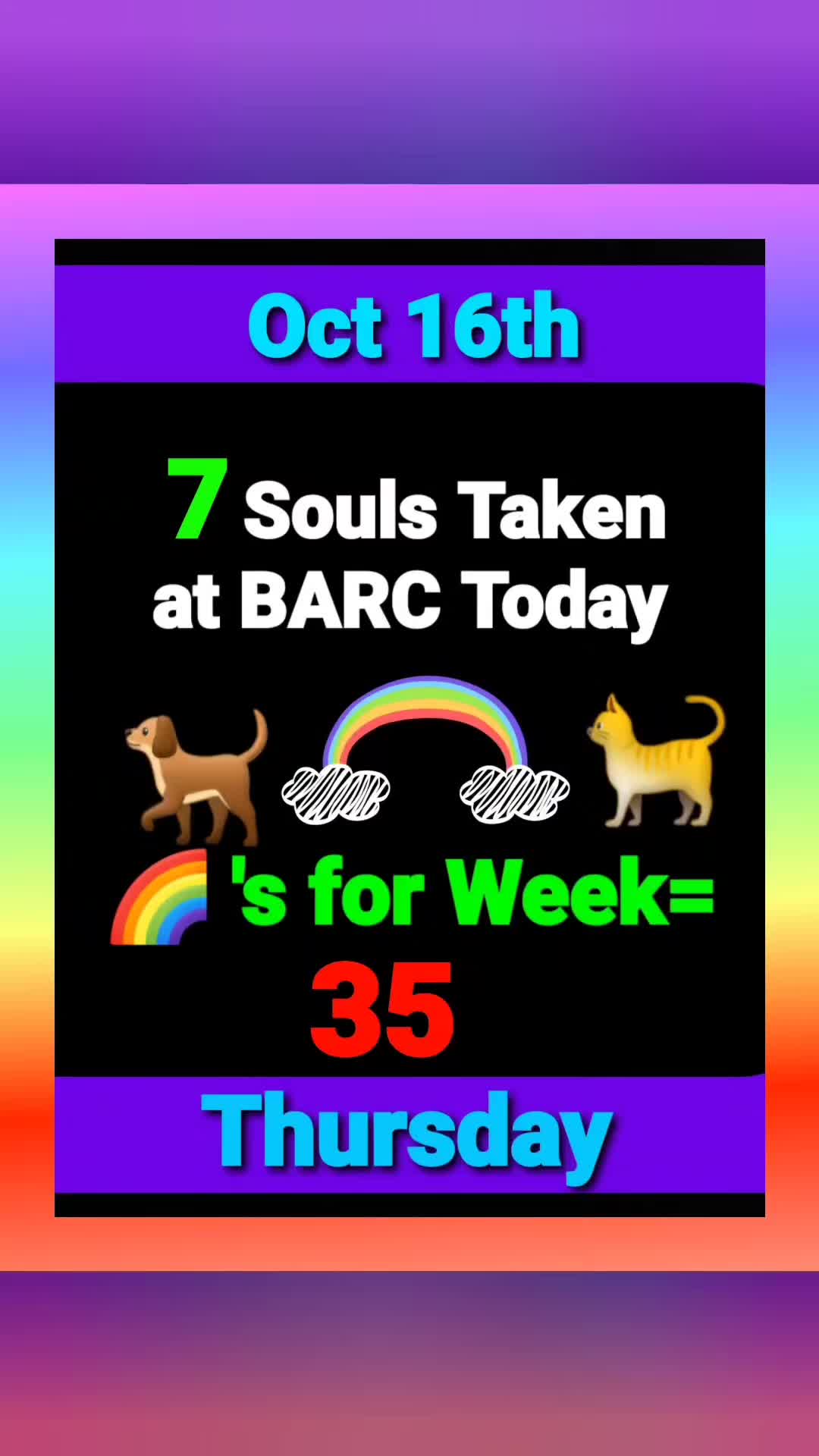 @Save Dog Souls