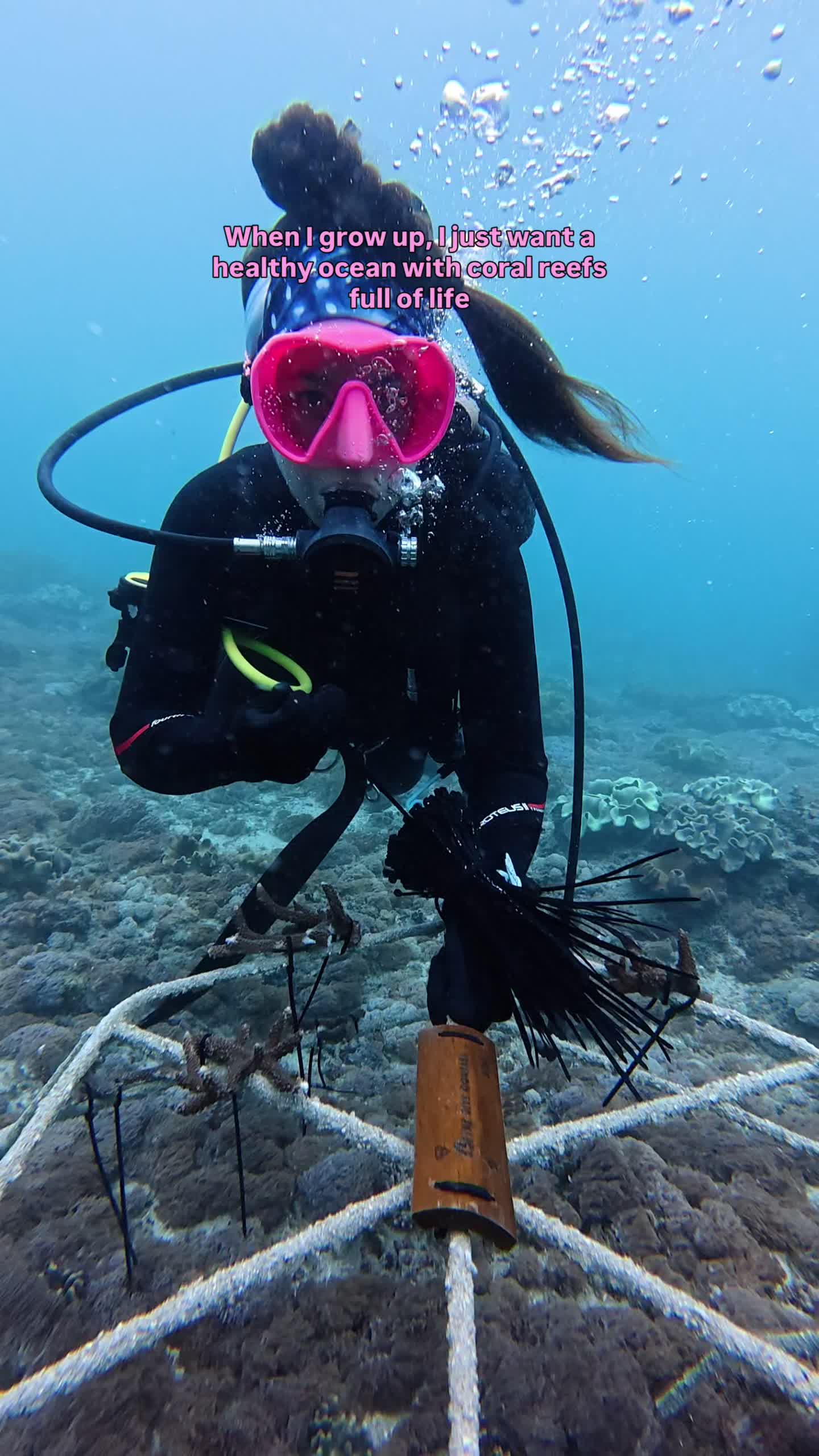 @The Dive Compass