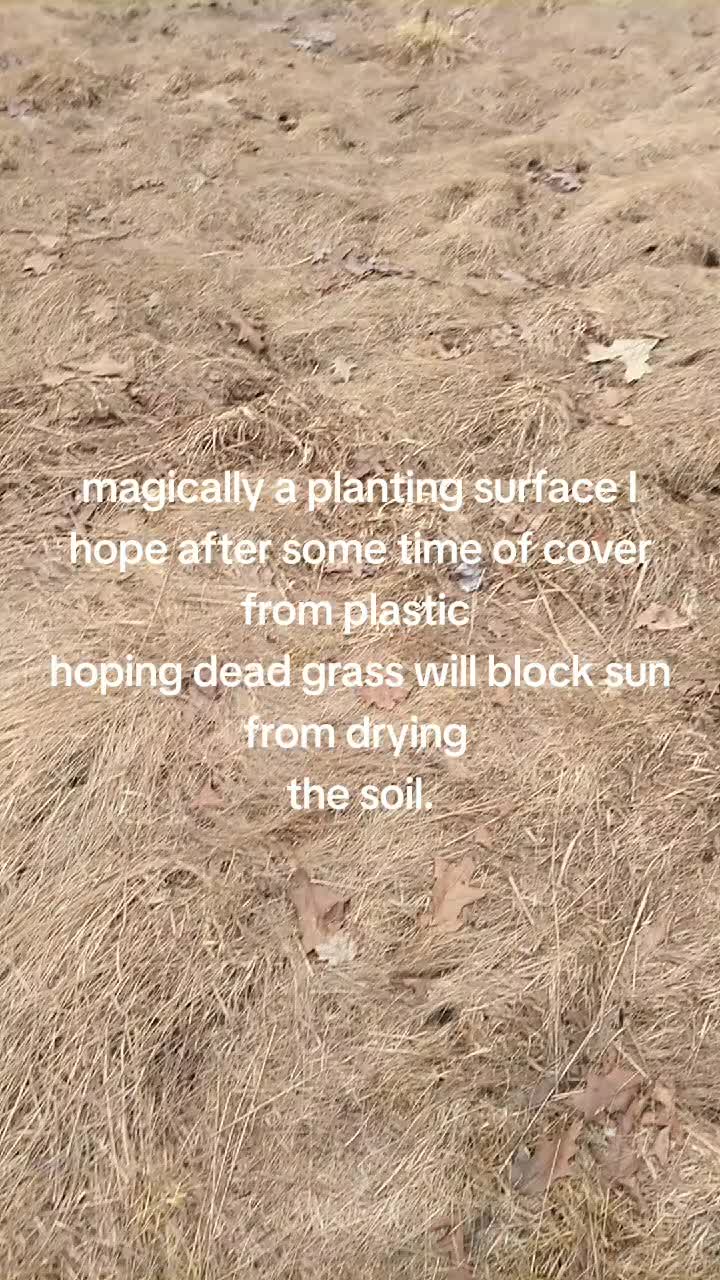 @thegoodnoise11