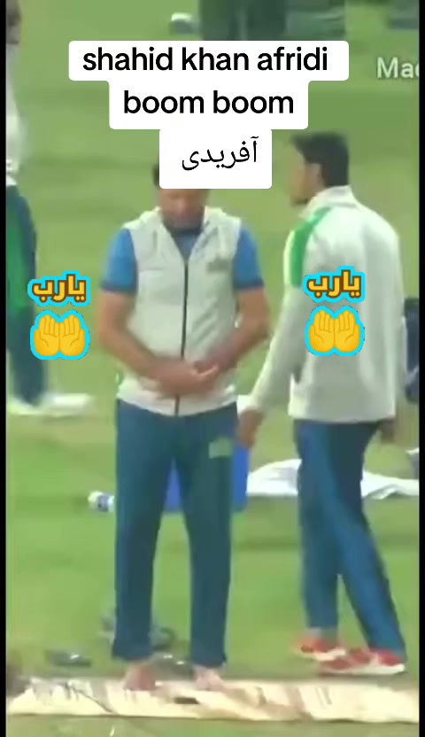 @laal.qatar