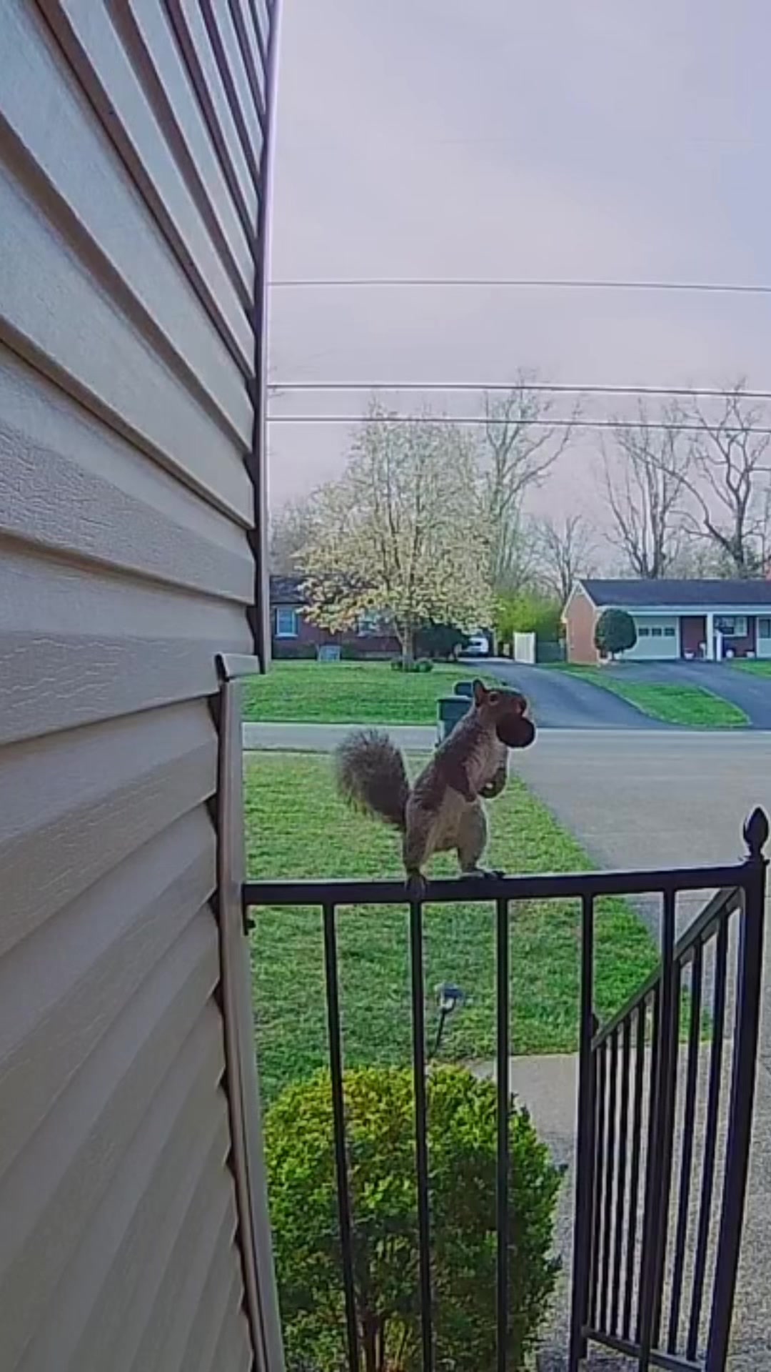 @SimpliSafe Home Security