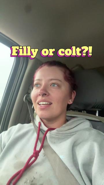 @LNZ