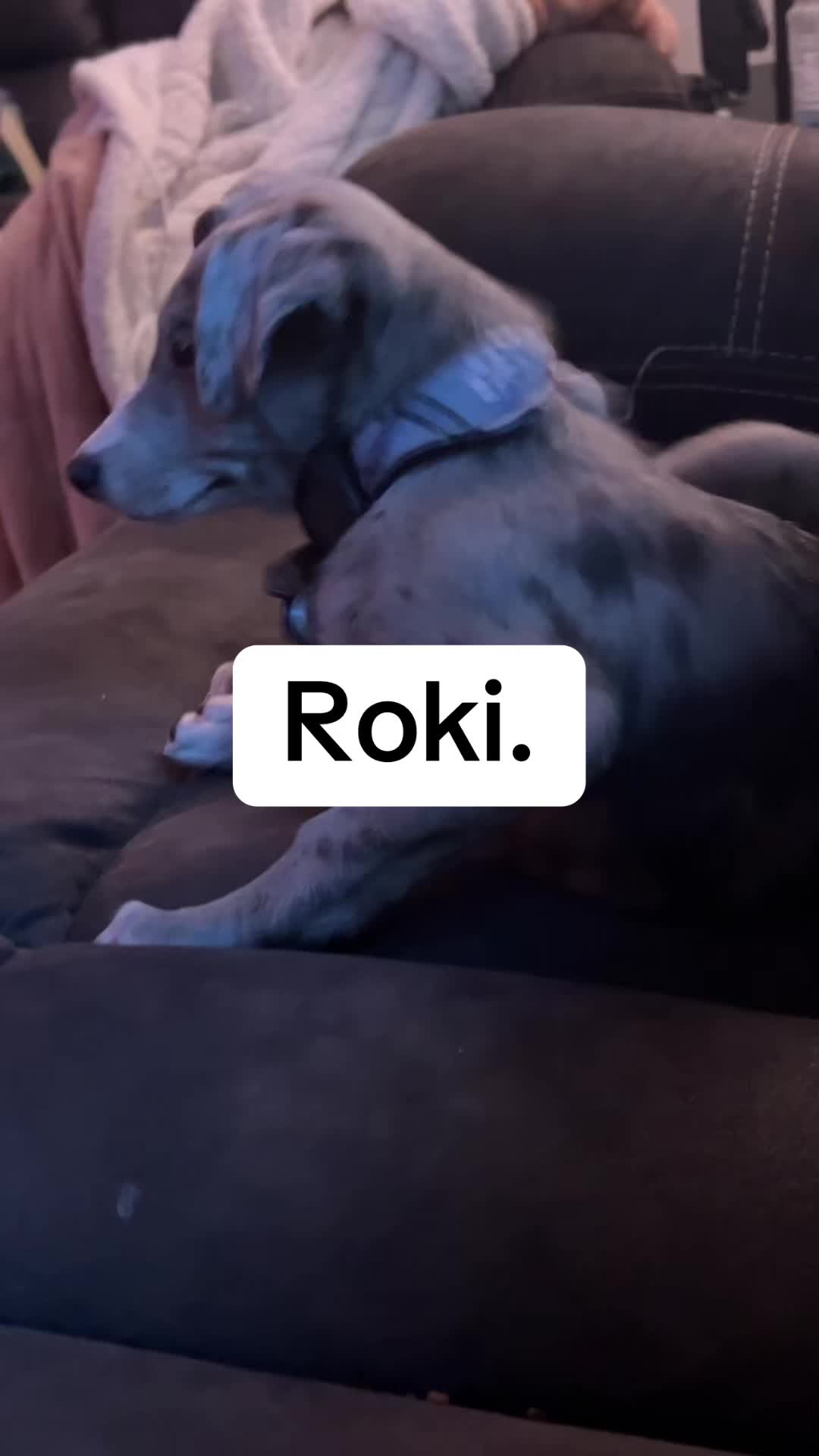 @Argh