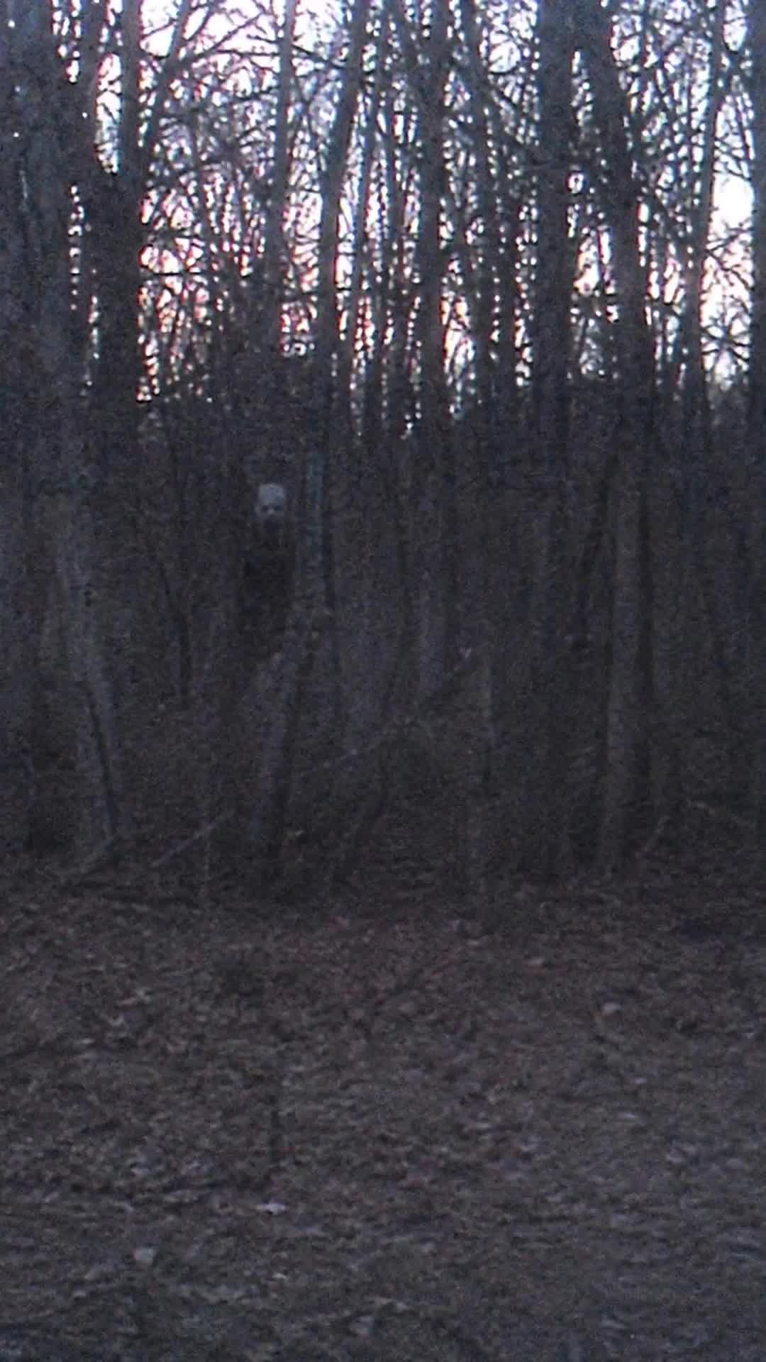 @unxplained