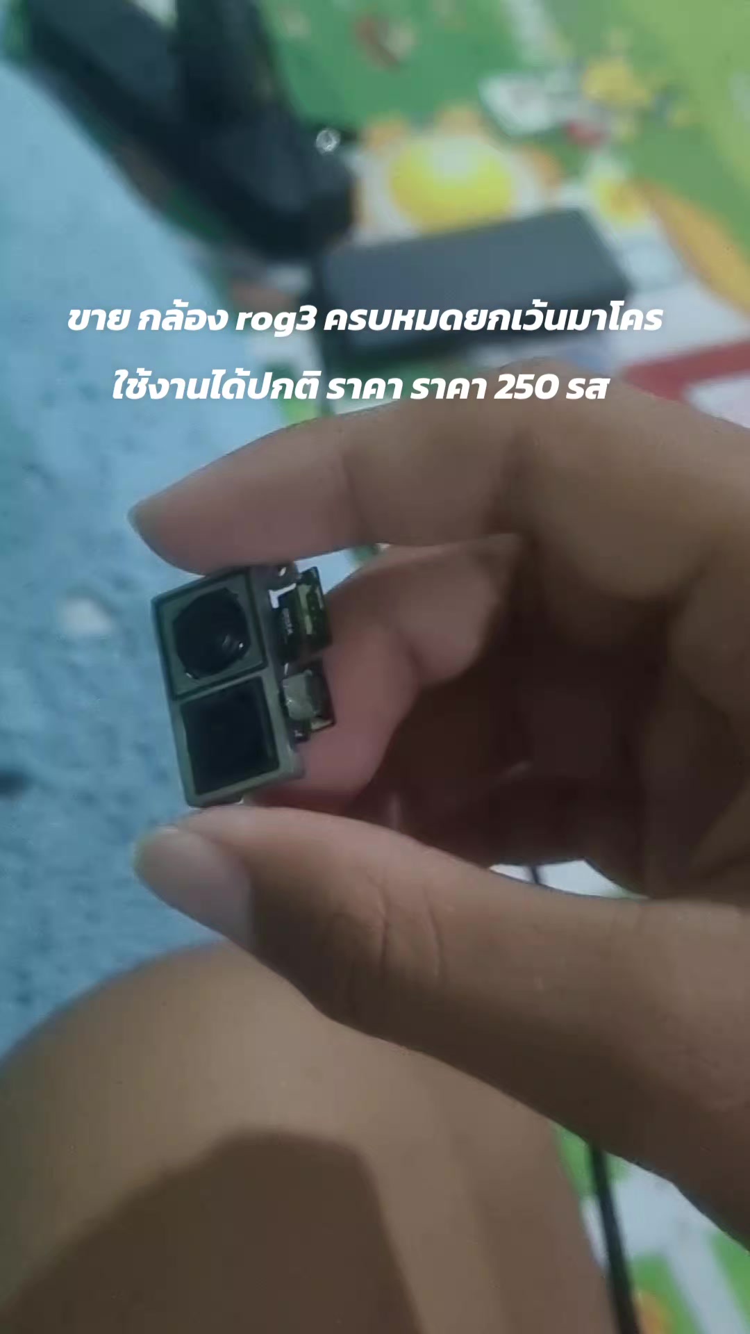 @NEWTON_iT🇹🇭