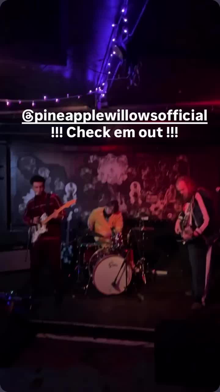 @PineappleWillowsOk