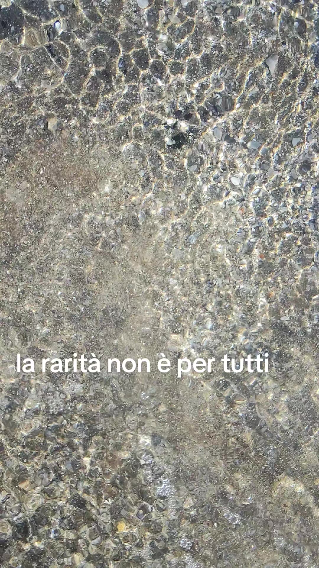 @Annalisa Fanelli