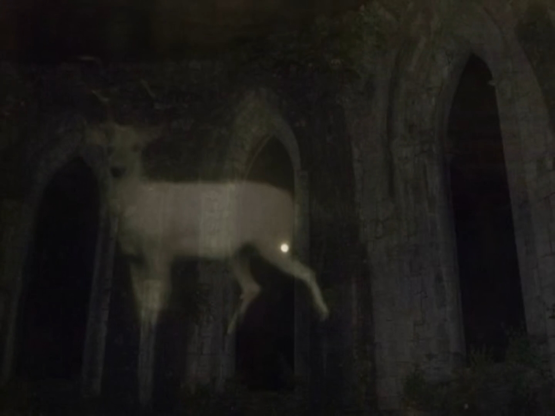 @penguinka | XO, My Cyberlove