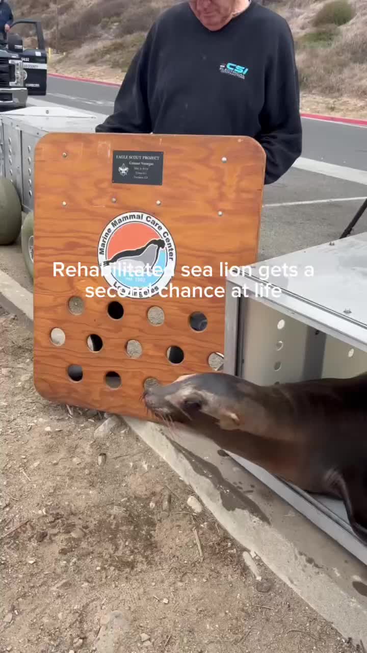 @Marine Mammal Care
