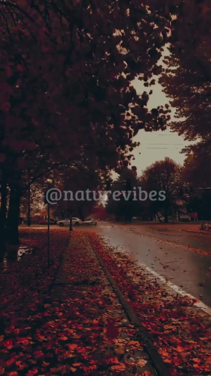 @Nature Vibes