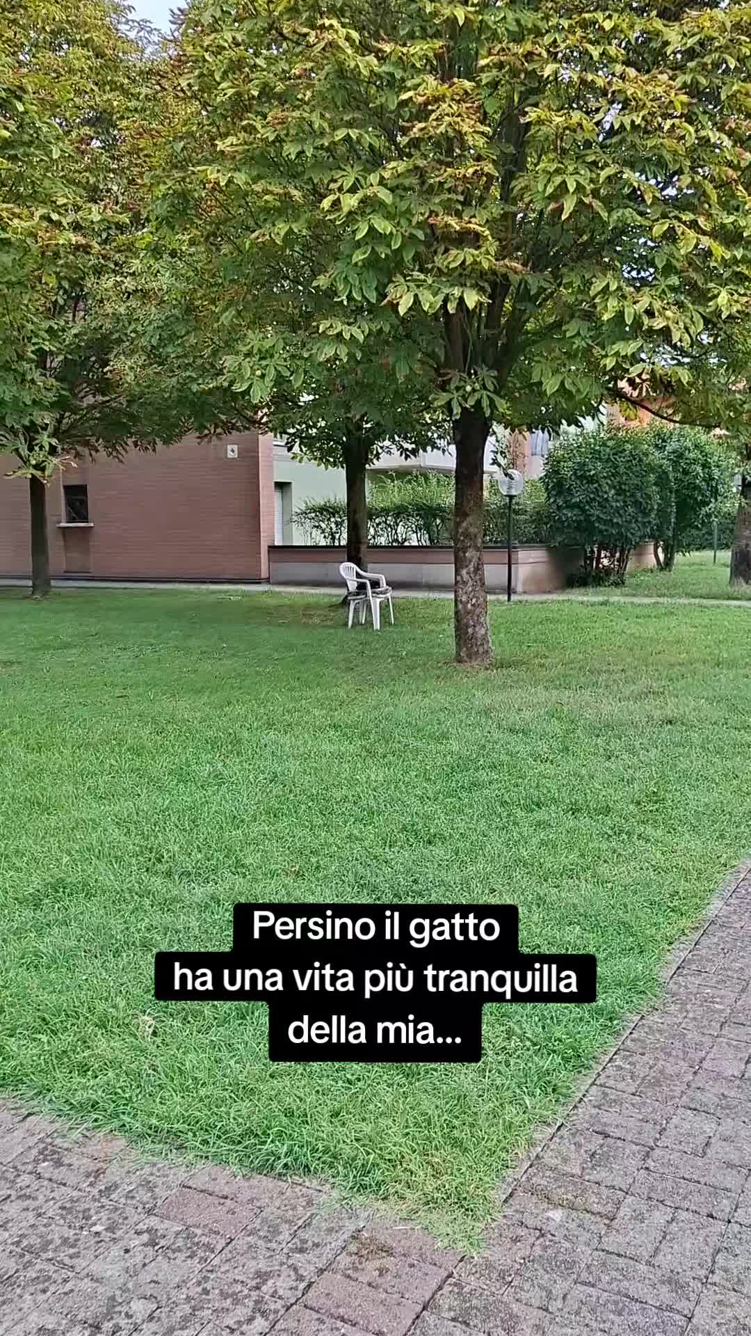 @Alati Federica